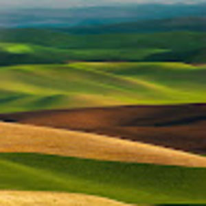 Meet your Posher, Heidi